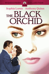 A Orqu�dea Negra
