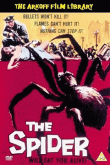 A Maldi��o da Aranha